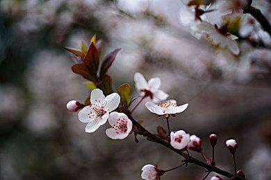 《最终幻想16》主线约40小时 动画超11小时